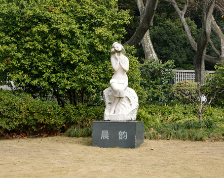 晨韻