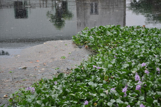 水污染