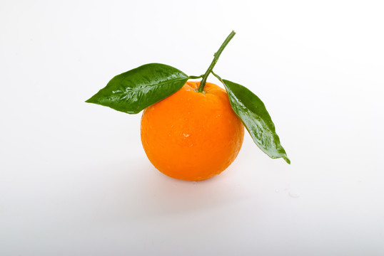 橙子