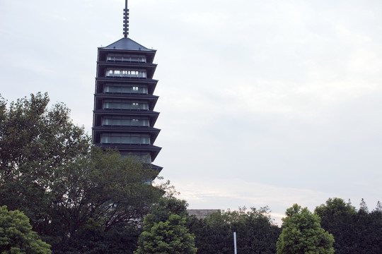 上海 臨江公園 園林 現(xiàn)代建筑