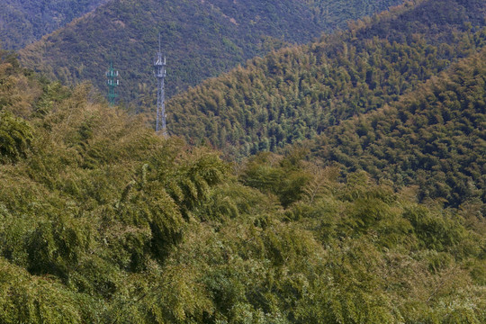 天目湖 南山竹海 江蘇 風景區(qū)