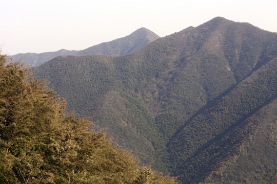 天目湖 南山竹海 江蘇 風(fēng)景區(qū)