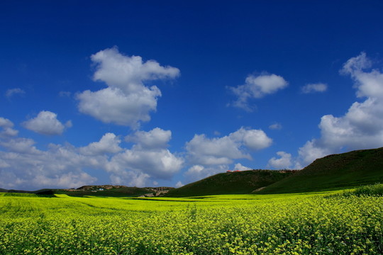 黃花溝