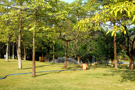 公園工人澆水