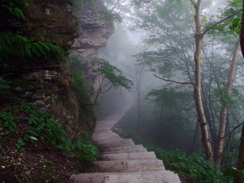 山路