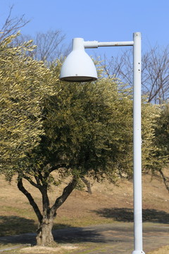 公園路燈