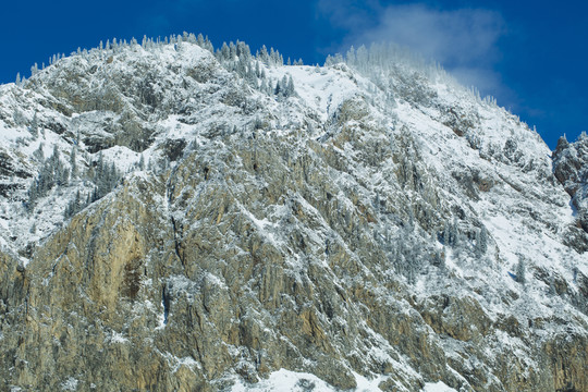 雪山 高原