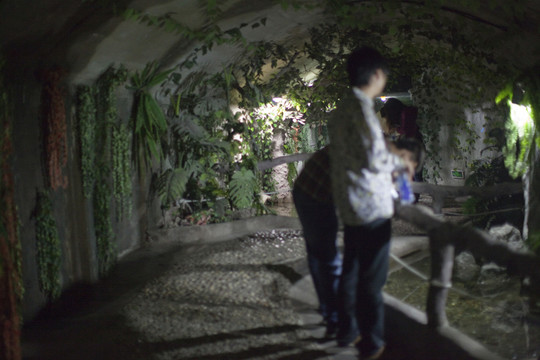 江蘇 連云港 水族館 海底世界