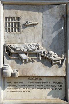 恣蚊飽血