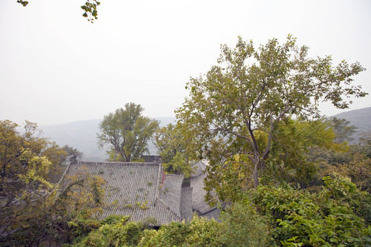 寺廟建筑 花果山 古跡 海寧寺