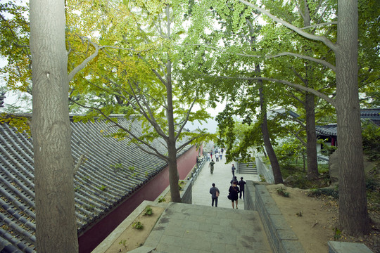 寺廟建筑 花果山 古跡 海寧寺