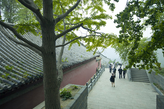 寺廟建筑 花果山 古跡 海寧寺