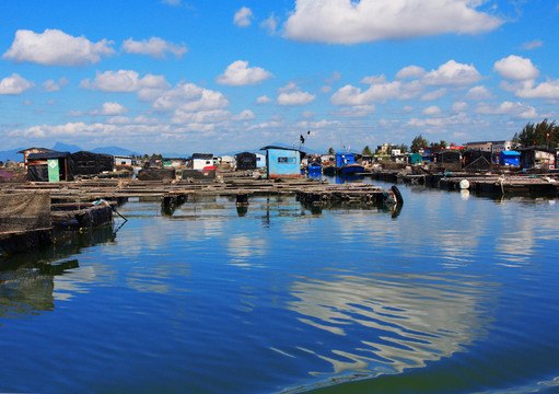 內(nèi)海魚(yú)排