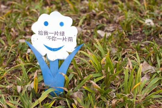 城市公園 柳樹灣 戶外 踏青