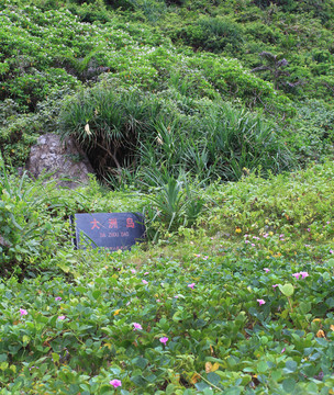 大洲島