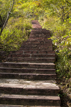 山路