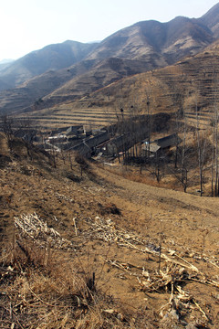 山地 盤山道
