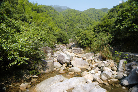 婺原大障山臥龍谷
