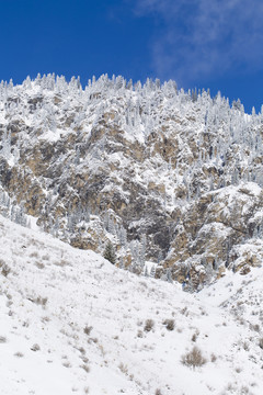 雪山  雪景