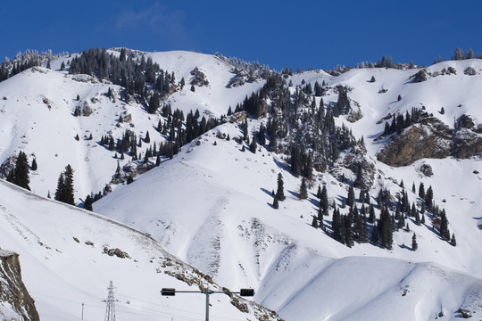 雪山 天山