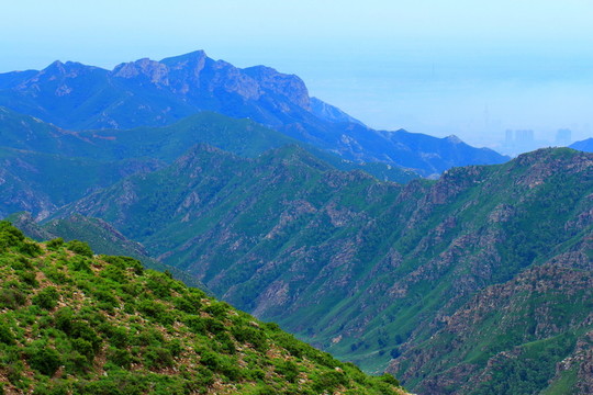 井爾梁