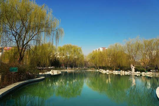 園林景觀