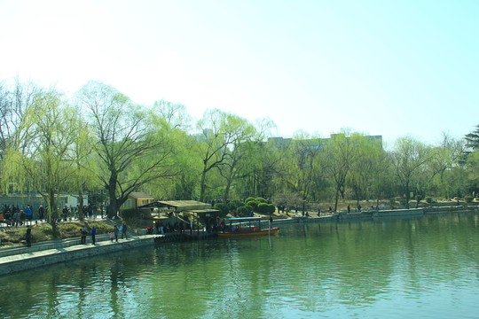 春天 湖水 游船  劃船