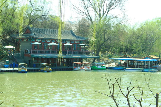 春天 湖水 水邊建筑