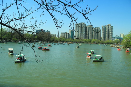 春天 湖水 游船  劃船