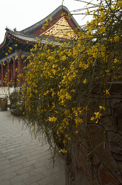 頤和園仁壽殿jpg