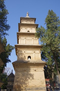 西安興教寺三藏塔