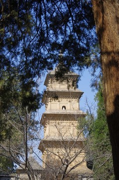 西安長安興教寺三藏塔