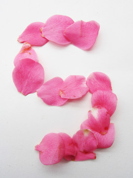 花瓣字