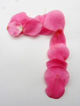 花瓣字