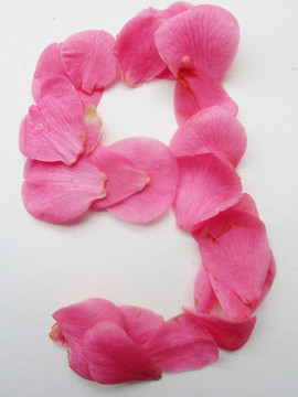 花瓣字