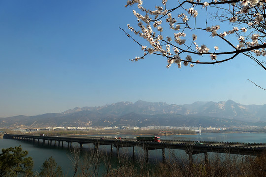 跨河大橋