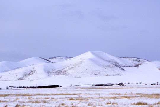 呼倫貝爾雪原