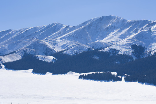 原始森林  天山