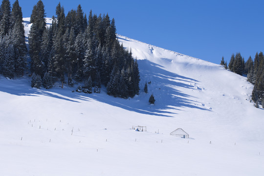 雪景 雪山