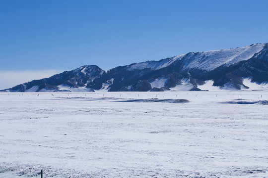 天山雪景 白雪皚皚