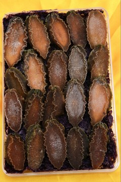 鮑魚