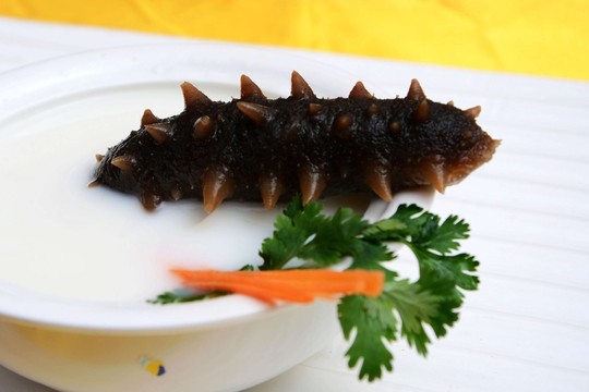 海參