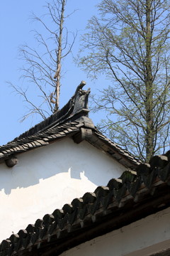 上海 朱家角 古鎮(zhèn) 江南水鄉(xiāng)