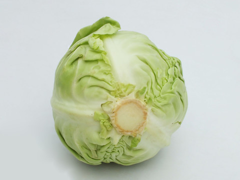 包菜