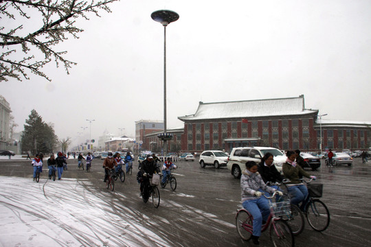 冬季下雪的呼倫貝爾