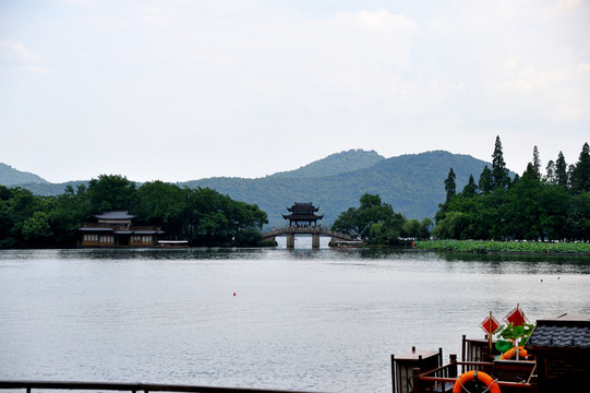 西湖 曲院風荷 湖泊 亭 橋