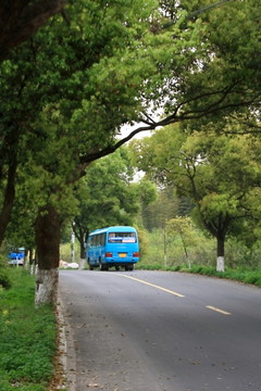 道路 公路 交通