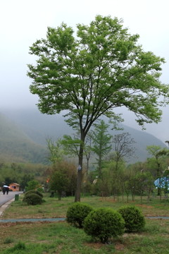 江蘇 宜興 戶外 竹海風(fēng)景區(qū)
