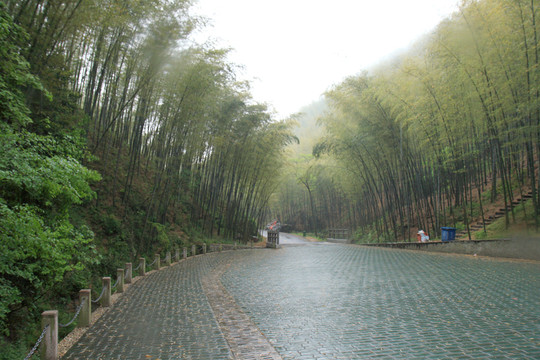 江蘇 宜興 戶外 竹海風景區(qū)