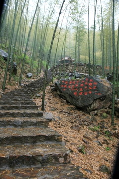 江蘇 宜興 戶外 竹海風(fēng)景區(qū)